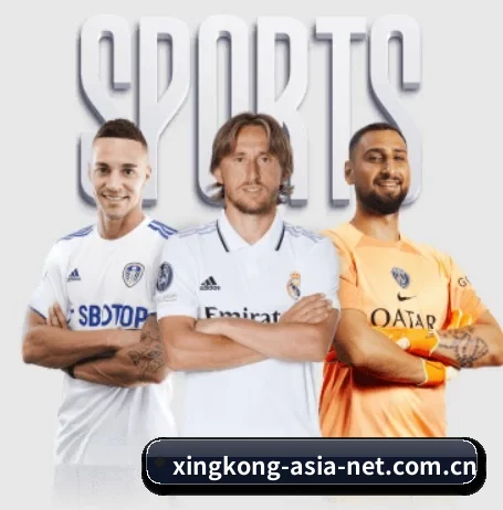xingkong中文网 APP