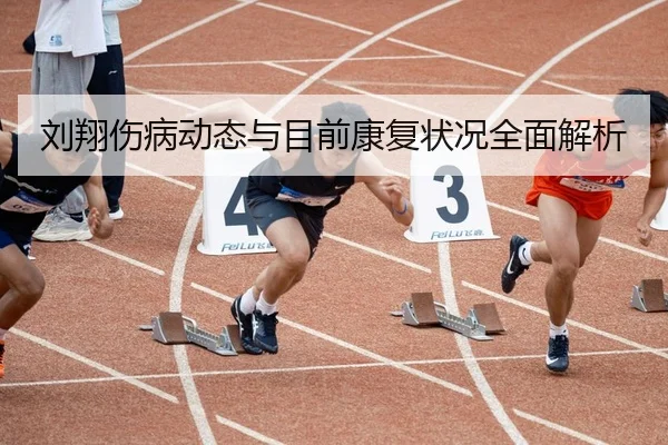 刘翔伤病动态与目前康复状况全面解析